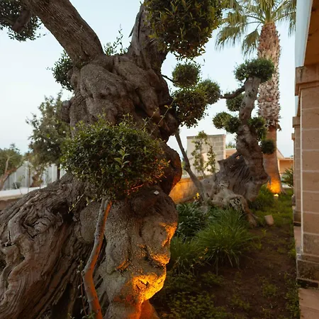 Don Onofrio Monopoli